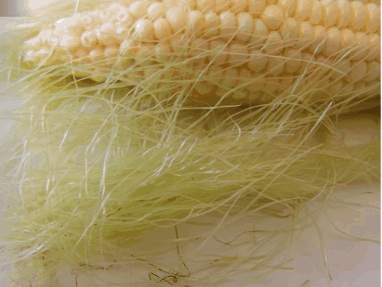corn benefits for health