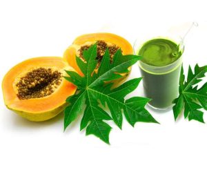 papaya leaf juice benefits