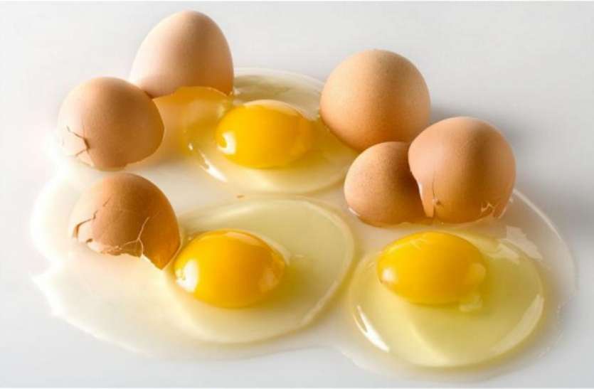 Egg has three parts