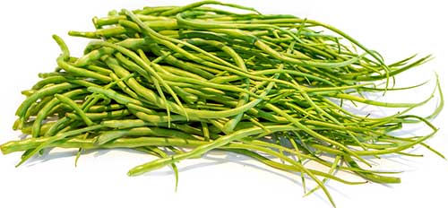 sangri vegetable