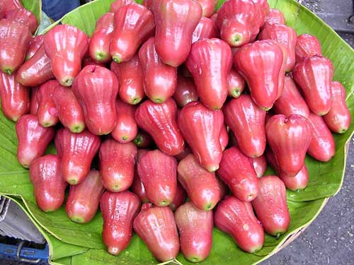 हिन्दी और इंग्लिश में जानिये 85 फलो के नाम Fruits Name in Hindi