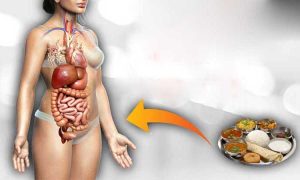 improve digestion system
